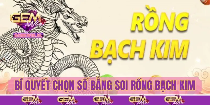 Bí quyết chọn số bằng soi rồng bạch kim