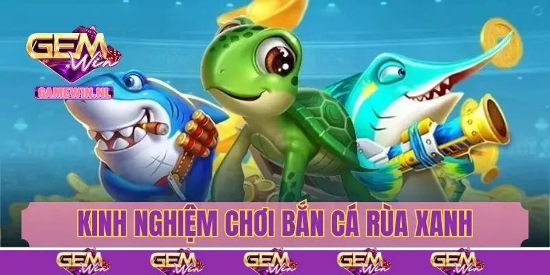 Kinh nghiệm chơi săn cá rùa xanh cực kỳ hiệu quả